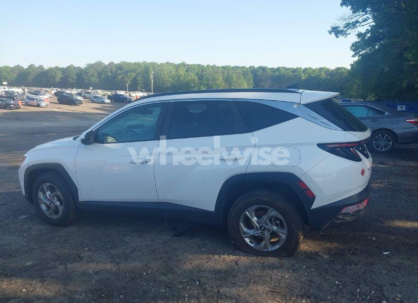 Photo 14 of 2023 Hyundai Tucson SEL (VIN 5NMJBCAE8PH262255)