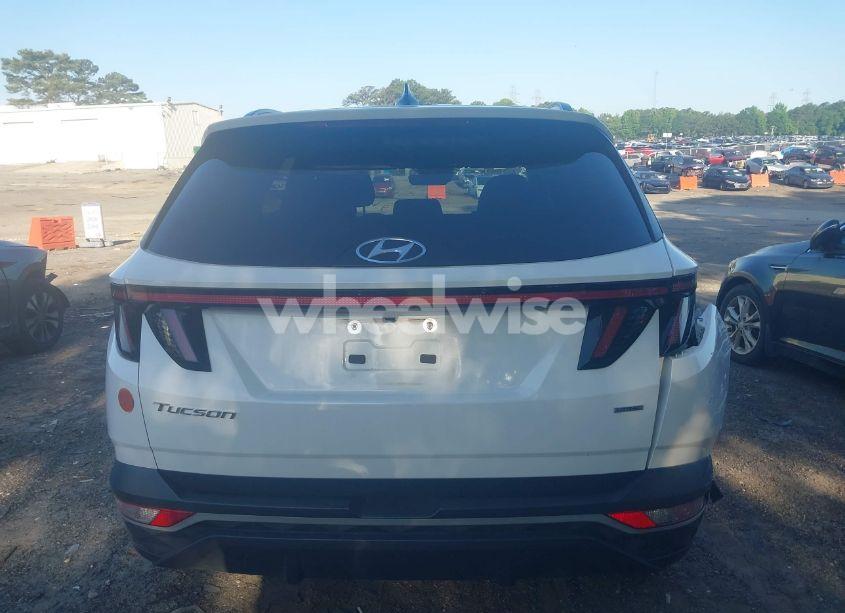 Photo 16 of 2023 Hyundai Tucson SEL (VIN 5NMJBCAE8PH262255)