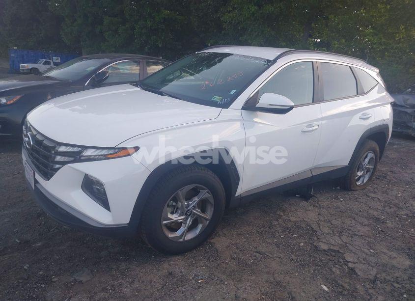 Photo 2 of 2023 Hyundai Tucson SEL (VIN 5NMJBCAE8PH262255)