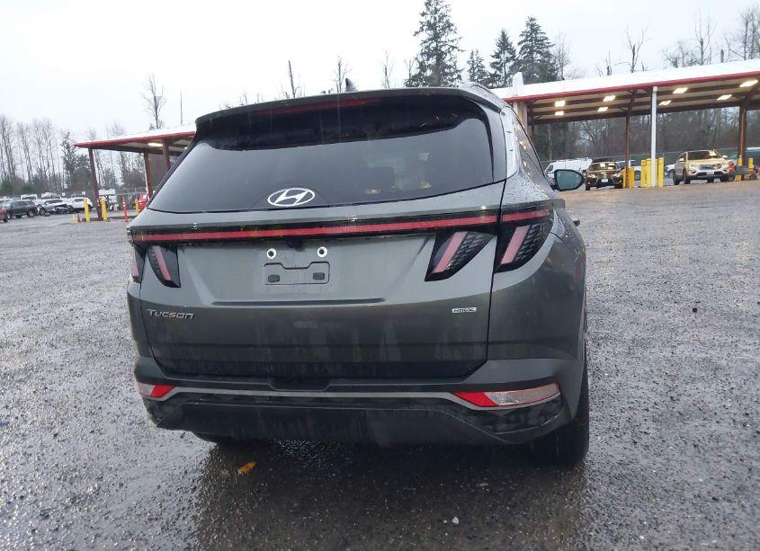 Photo 16 of 2022 Hyundai Tucson SEL (VIN 5NMJBCAE9NH007157)