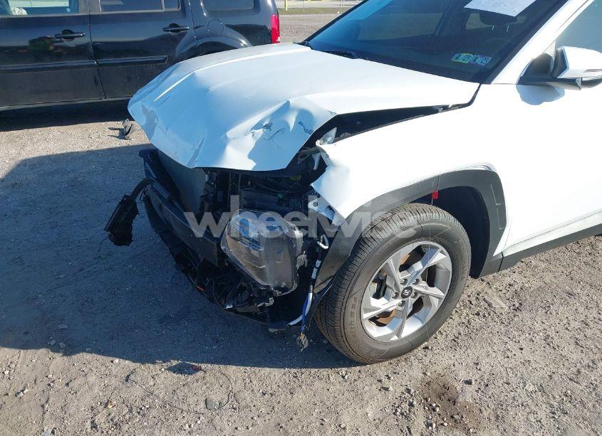 Photo 18 of 2022 Hyundai Tucson SEL (VIN 5NMJBCAE9NH137679)