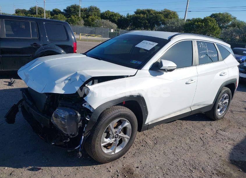 Photo 19 of 2022 Hyundai Tucson SEL (VIN 5NMJBCAE9NH137679)