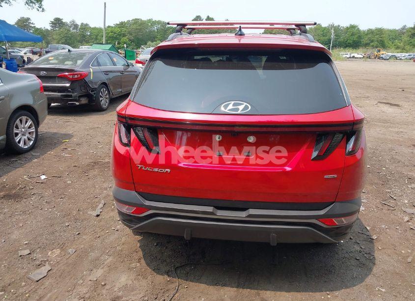 Photo 16 of 2023 Hyundai Tucson SEL (VIN 5NMJBCAE9PH163329)