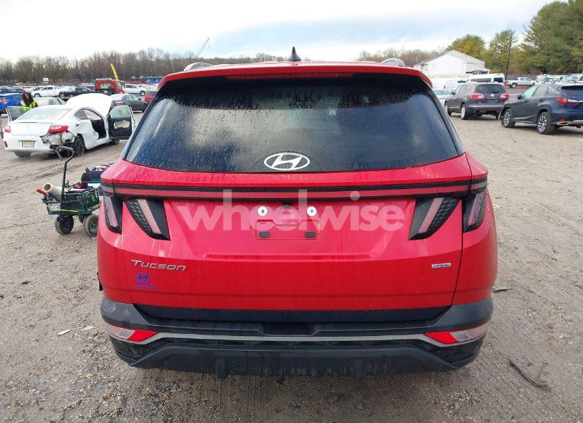Photo 16 of 2023 Hyundai Tucson SEL (VIN 5NMJBCAE9PH260966)