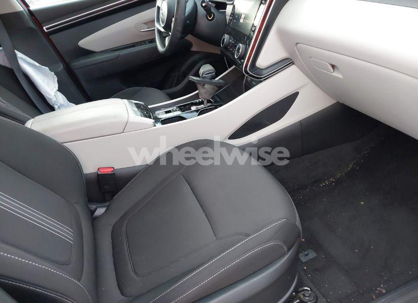 Photo 5 of 2023 Hyundai Tucson SEL (VIN 5NMJBCAE9PH260966)