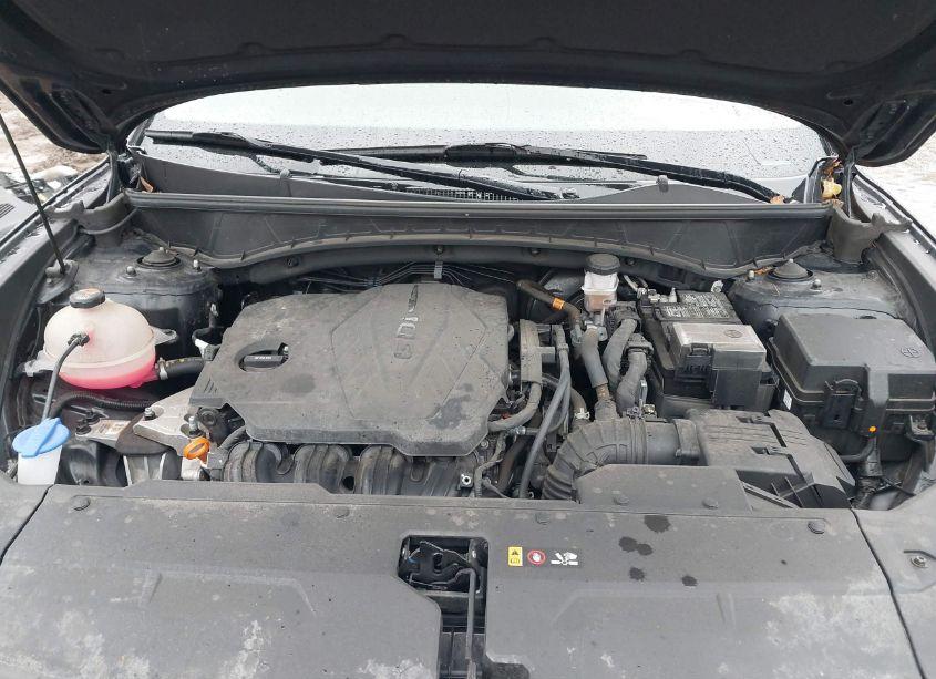 Photo 10 of 2022 Hyundai Tucson SEL (VIN 5NMJBCAEXNH086760)