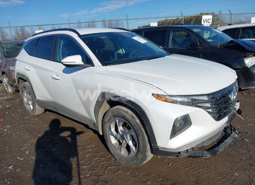 2022 Hyundai Tucson SEL (VIN 5NMJBCAEXNH155625) main photo