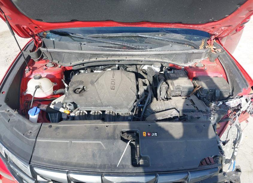 Photo 10 of 2023 Hyundai Tucson SEL (VIN 5NMJBCAEXPH170743)