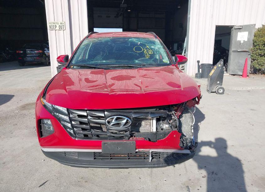 Photo 12 of 2023 Hyundai Tucson SEL (VIN 5NMJBCAEXPH170743)