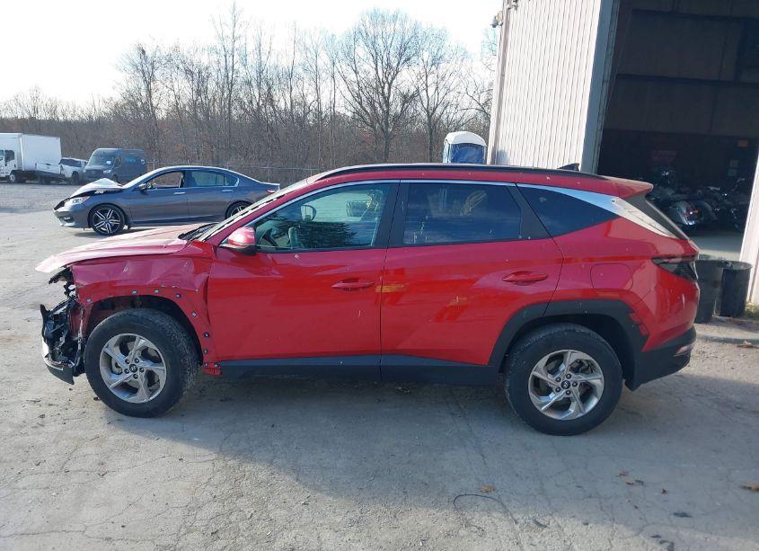 Photo 14 of 2023 Hyundai Tucson SEL (VIN 5NMJBCAEXPH170743)