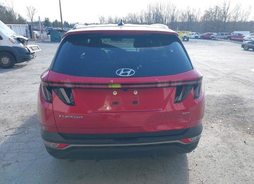 Photo 16 of 2023 Hyundai Tucson SEL (VIN 5NMJBCAEXPH170743)