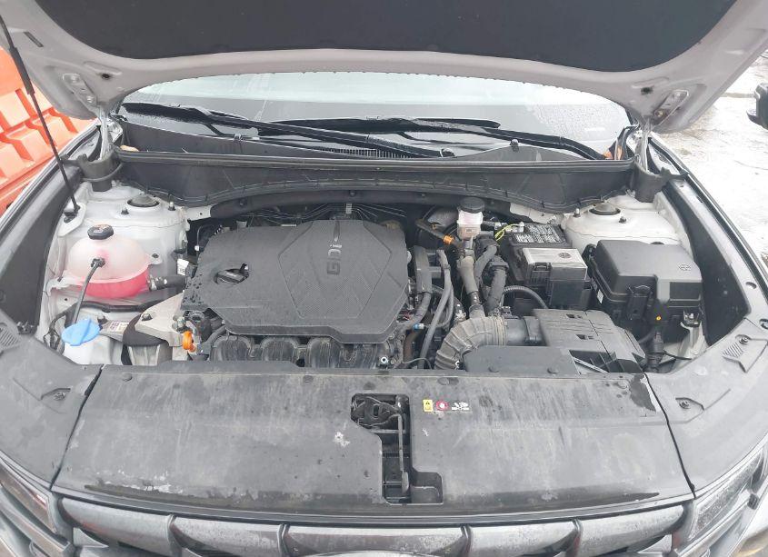 Photo 10 of 2023 Hyundai Tucson SEL (VIN 5NMJBCAEXPH171066)