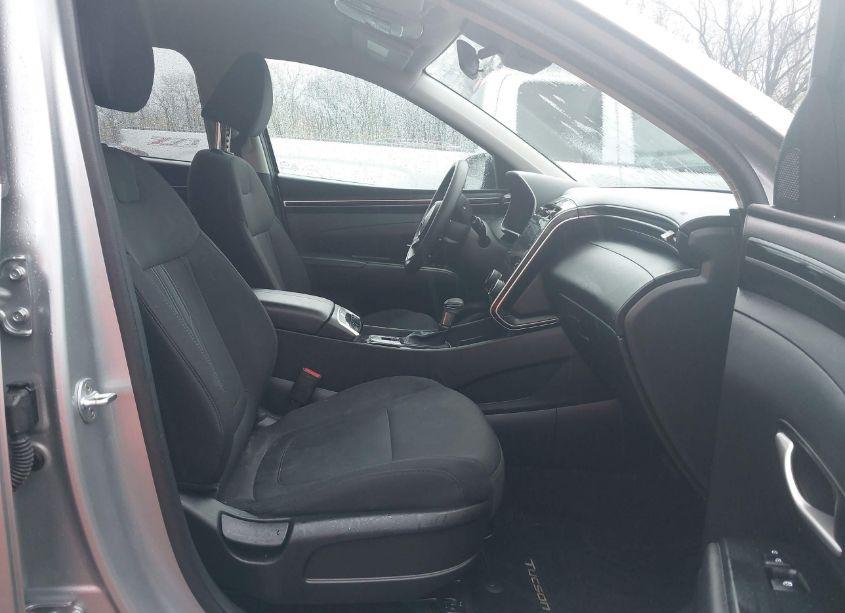 Photo 5 of 2023 Hyundai Tucson SEL (VIN 5NMJBCAEXPH171066)