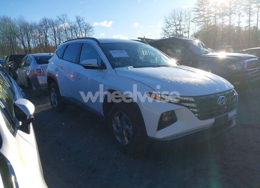 2023 Hyundai Tucson SEL (VIN 5NMJBCAEXPH186568) main photo