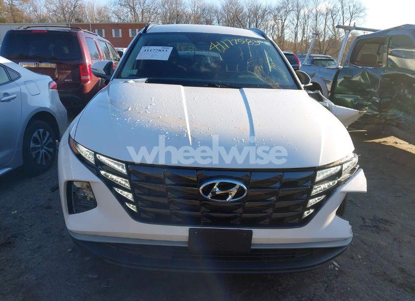 Photo 13 of 2023 Hyundai Tucson SEL (VIN 5NMJBCAEXPH186568)
