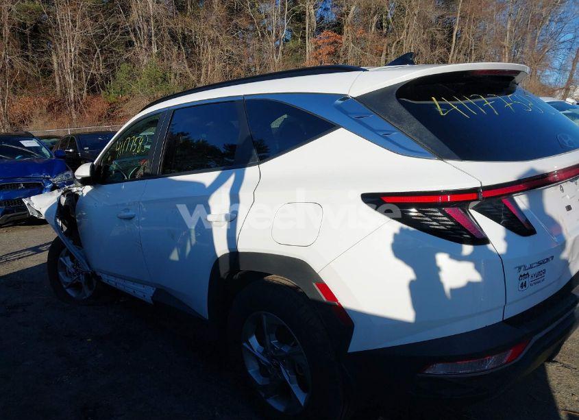 Photo 15 of 2023 Hyundai Tucson SEL (VIN 5NMJBCAEXPH186568)