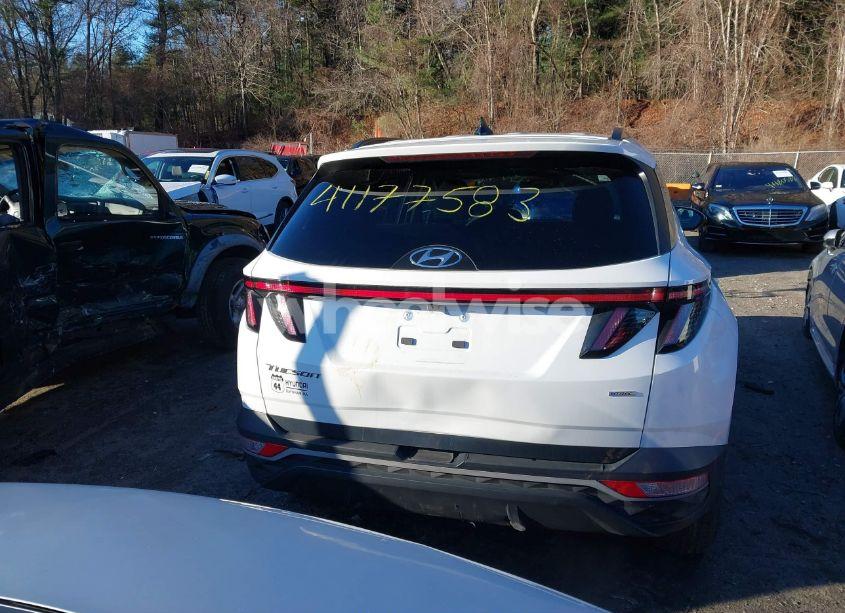 Photo 17 of 2023 Hyundai Tucson SEL (VIN 5NMJBCAEXPH186568)