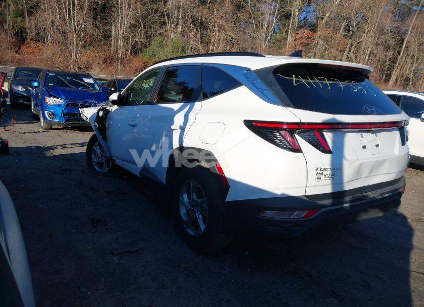 Photo 3 of 2023 Hyundai Tucson SEL (VIN 5NMJBCAEXPH186568)