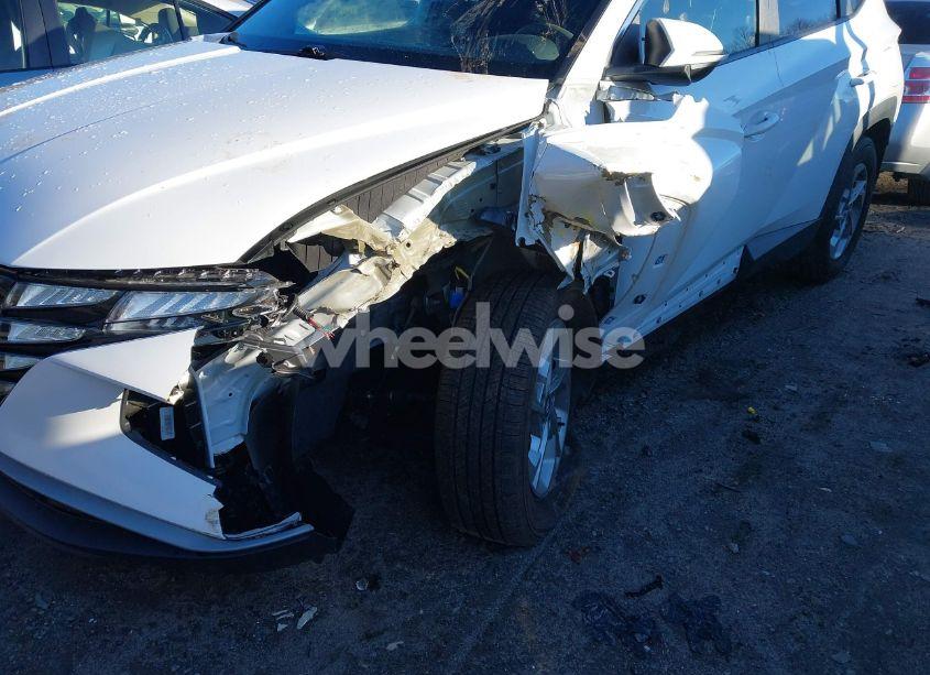 Photo 6 of 2023 Hyundai Tucson SEL (VIN 5NMJBCAEXPH186568)
