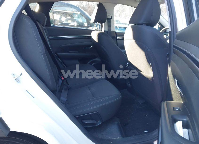 Photo 8 of 2023 Hyundai Tucson SEL (VIN 5NMJBCAEXPH186568)