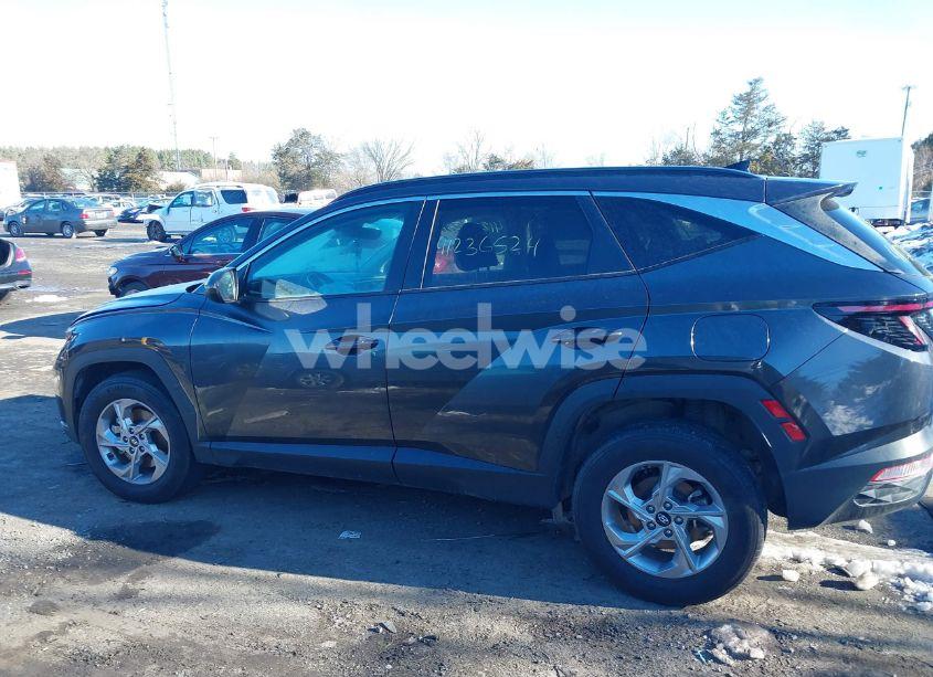 Photo 14 of 2023 Hyundai Tucson SEL (VIN 5NMJBCAEXPH191270)