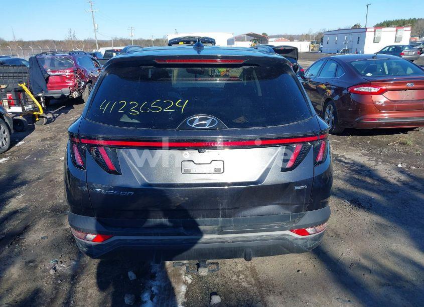 Photo 16 of 2023 Hyundai Tucson SEL (VIN 5NMJBCAEXPH191270)