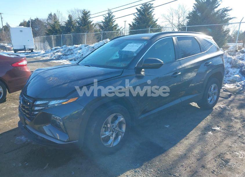 Photo 2 of 2023 Hyundai Tucson SEL (VIN 5NMJBCAEXPH191270)