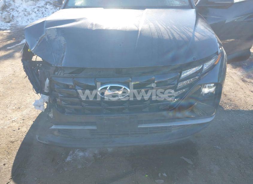 Photo 6 of 2023 Hyundai Tucson SEL (VIN 5NMJBCAEXPH191270)