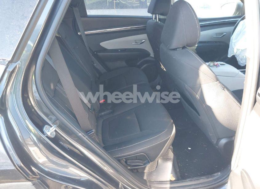 Photo 8 of 2023 Hyundai Tucson SEL (VIN 5NMJBCAEXPH191270)