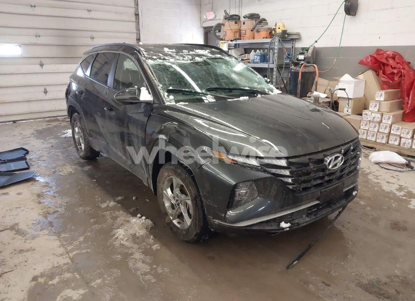 2023 Hyundai Tucson SEL (VIN 5NMJBCAEXPH281504) main photo