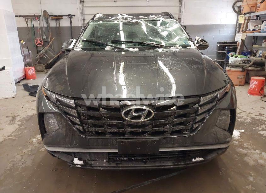 Photo 12 of 2023 Hyundai Tucson SEL (VIN 5NMJBCAEXPH281504)