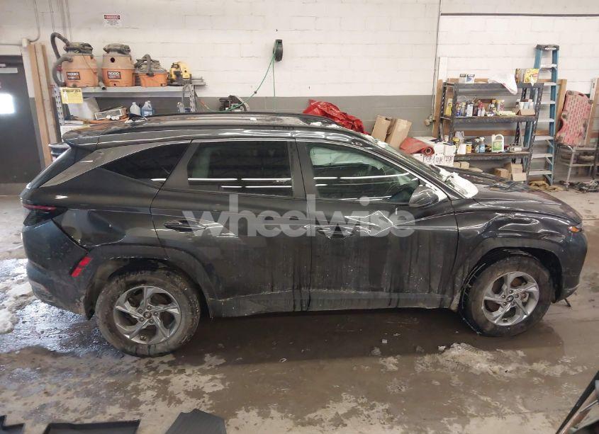 Photo 13 of 2023 Hyundai Tucson SEL (VIN 5NMJBCAEXPH281504)