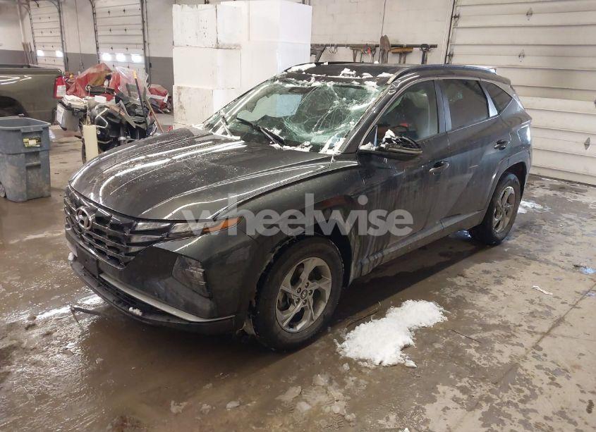 Photo 2 of 2023 Hyundai Tucson SEL (VIN 5NMJBCAEXPH281504)