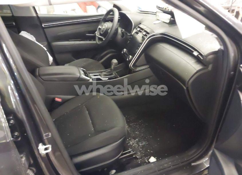 Photo 5 of 2023 Hyundai Tucson SEL (VIN 5NMJBCAEXPH281504)