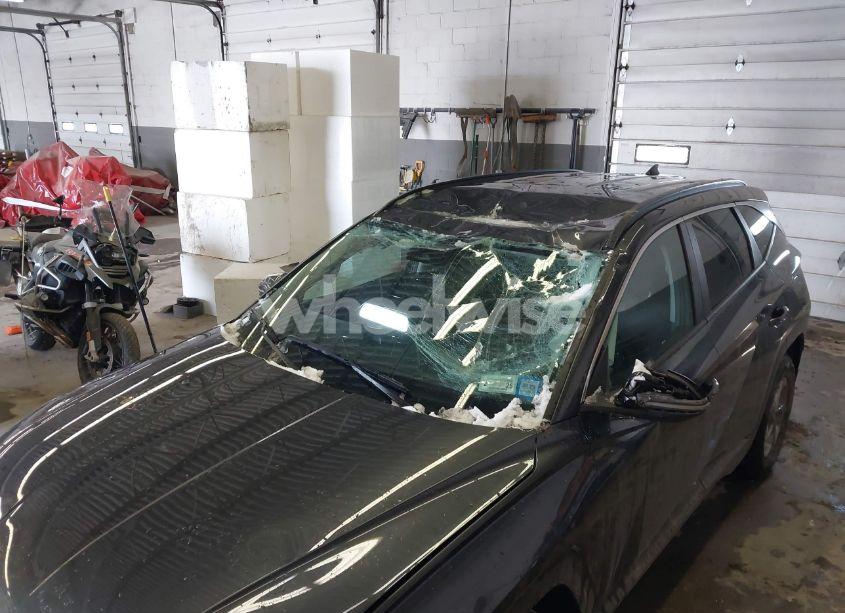 Photo 6 of 2023 Hyundai Tucson SEL (VIN 5NMJBCAEXPH281504)