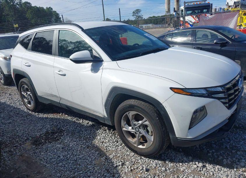 2024 Hyundai Tucson SEL (VIN 5NMJBCDE0RH298407) main photo