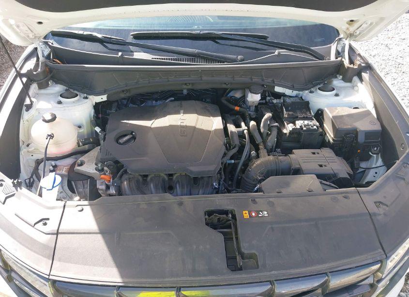 Photo 10 of 2024 Hyundai Tucson SEL (VIN 5NMJBCDE0RH298407)