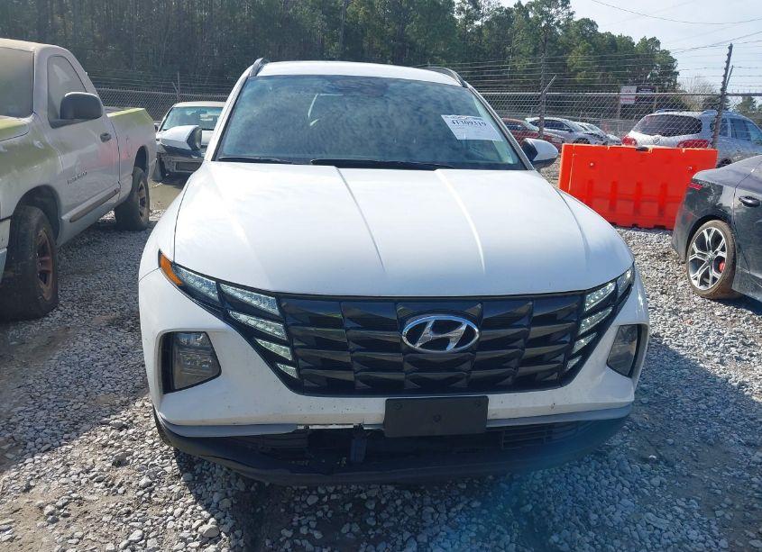 Photo 12 of 2024 Hyundai Tucson SEL (VIN 5NMJBCDE0RH298407)