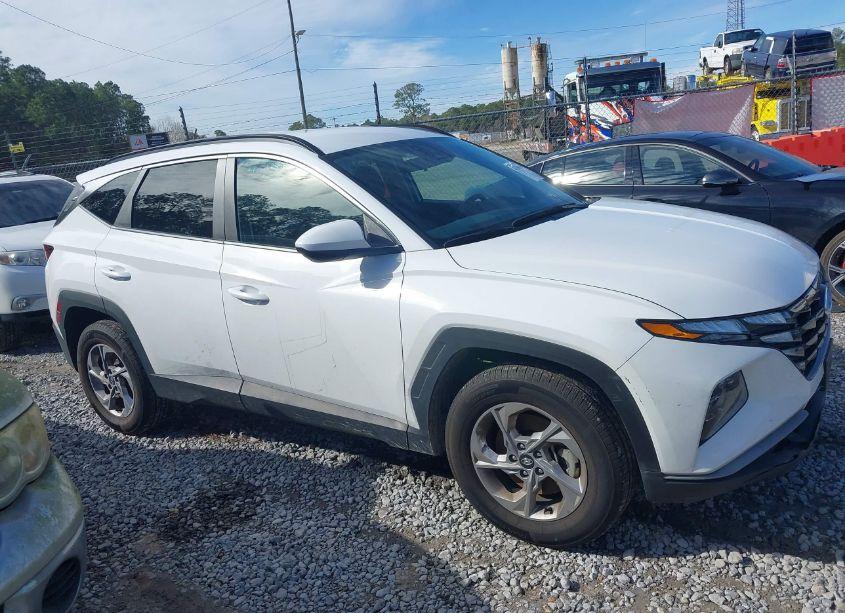 Photo 13 of 2024 Hyundai Tucson SEL (VIN 5NMJBCDE0RH298407)