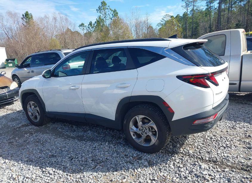 Photo 14 of 2024 Hyundai Tucson SEL (VIN 5NMJBCDE0RH298407)