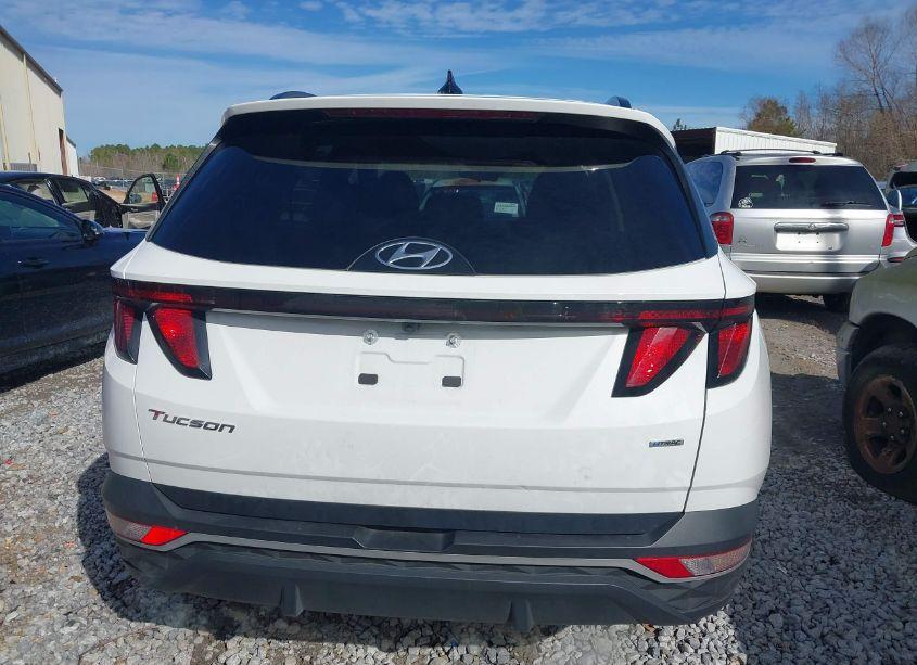 Photo 16 of 2024 Hyundai Tucson SEL (VIN 5NMJBCDE0RH298407)