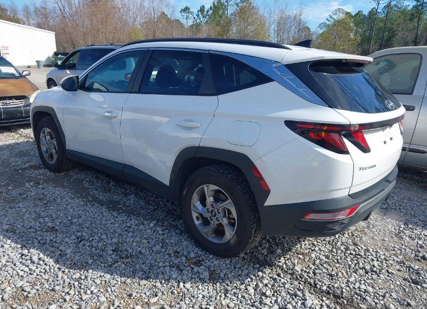 Photo 3 of 2024 Hyundai Tucson SEL (VIN 5NMJBCDE0RH298407)