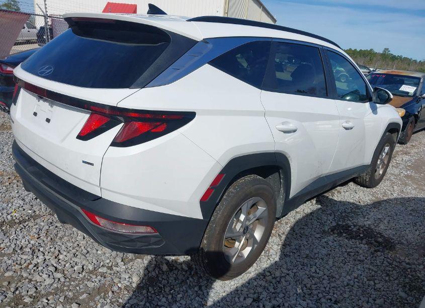 Photo 4 of 2024 Hyundai Tucson SEL (VIN 5NMJBCDE0RH298407)