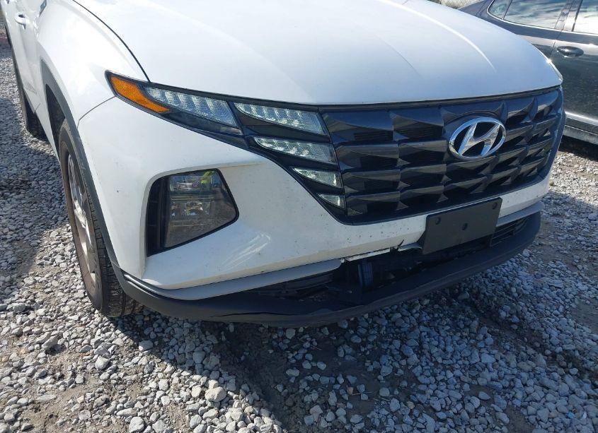 Photo 6 of 2024 Hyundai Tucson SEL (VIN 5NMJBCDE0RH298407)