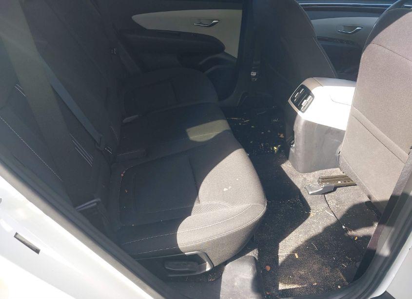 Photo 8 of 2024 Hyundai Tucson SEL (VIN 5NMJBCDE0RH298407)