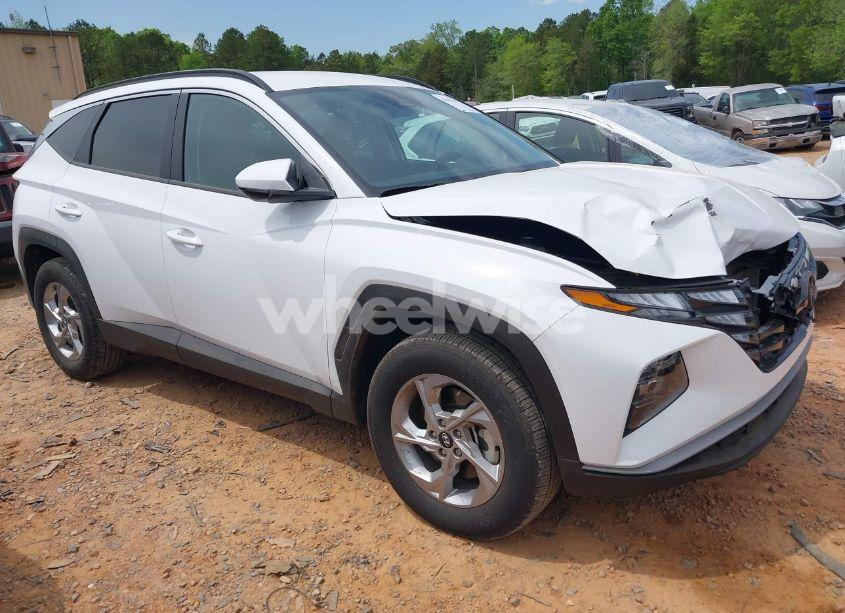 2024 Hyundai Tucson SEL (VIN 5NMJBCDE0RH301466) main photo
