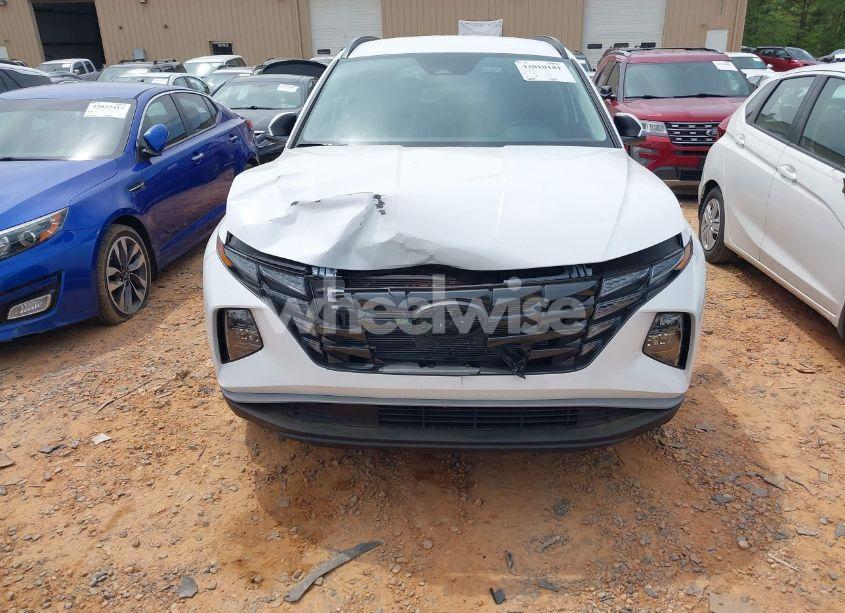 Photo 12 of 2024 Hyundai Tucson SEL (VIN 5NMJBCDE0RH301466)