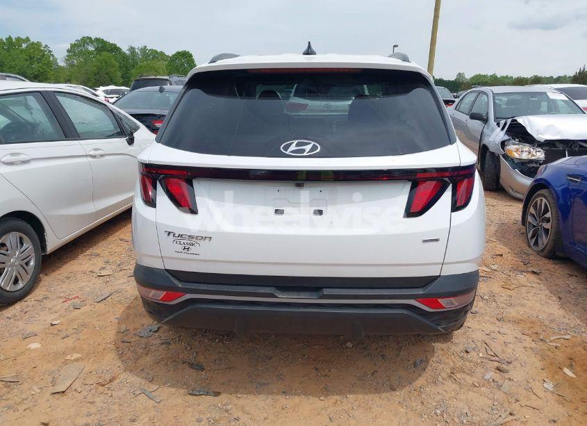 Photo 16 of 2024 Hyundai Tucson SEL (VIN 5NMJBCDE0RH301466)