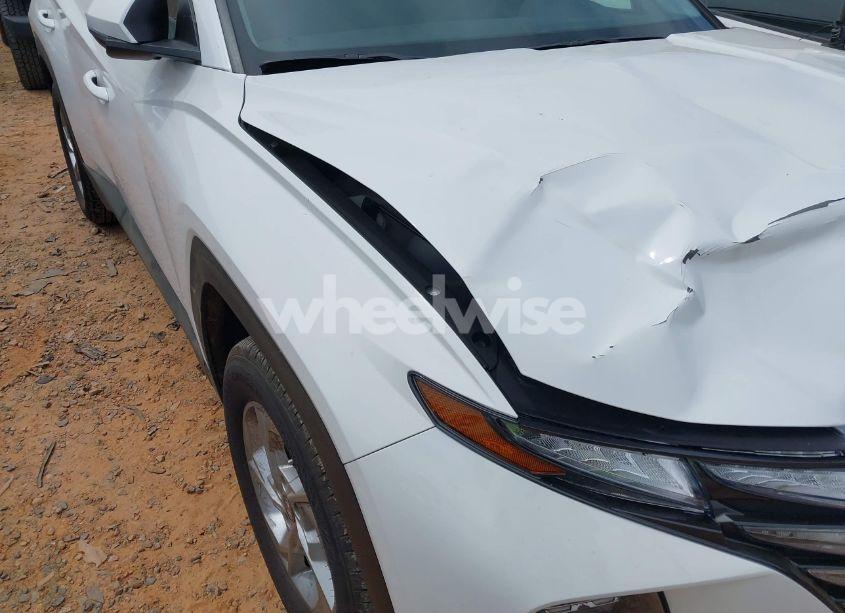 Photo 17 of 2024 Hyundai Tucson SEL (VIN 5NMJBCDE0RH301466)