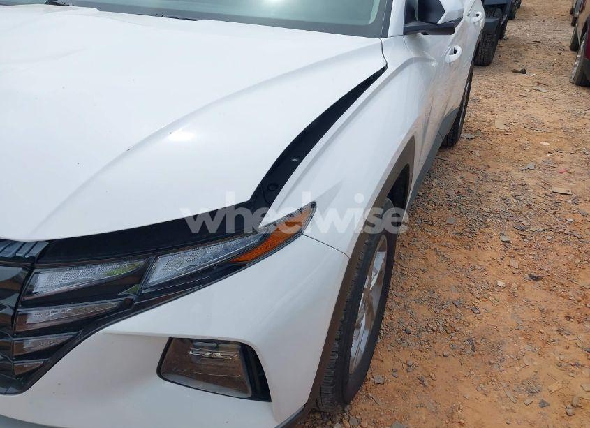 Photo 18 of 2024 Hyundai Tucson SEL (VIN 5NMJBCDE0RH301466)